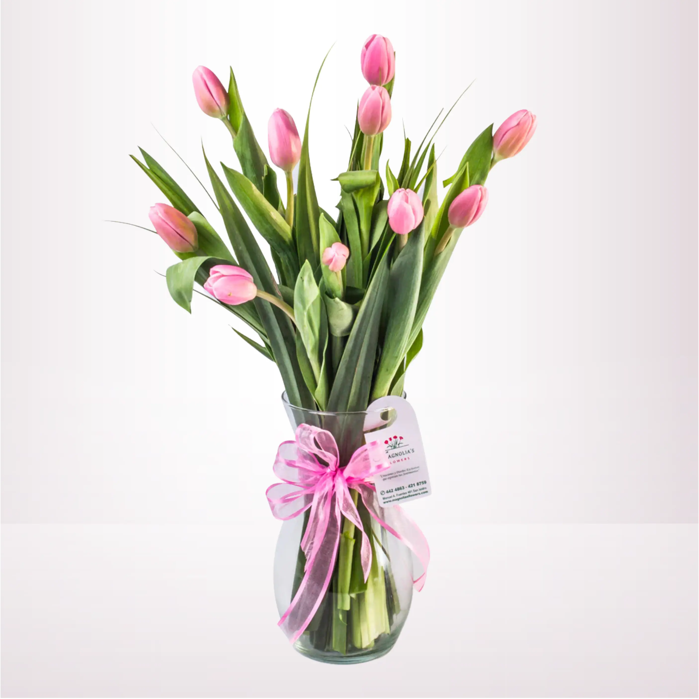 TULIPANES EN BASE - TL10
