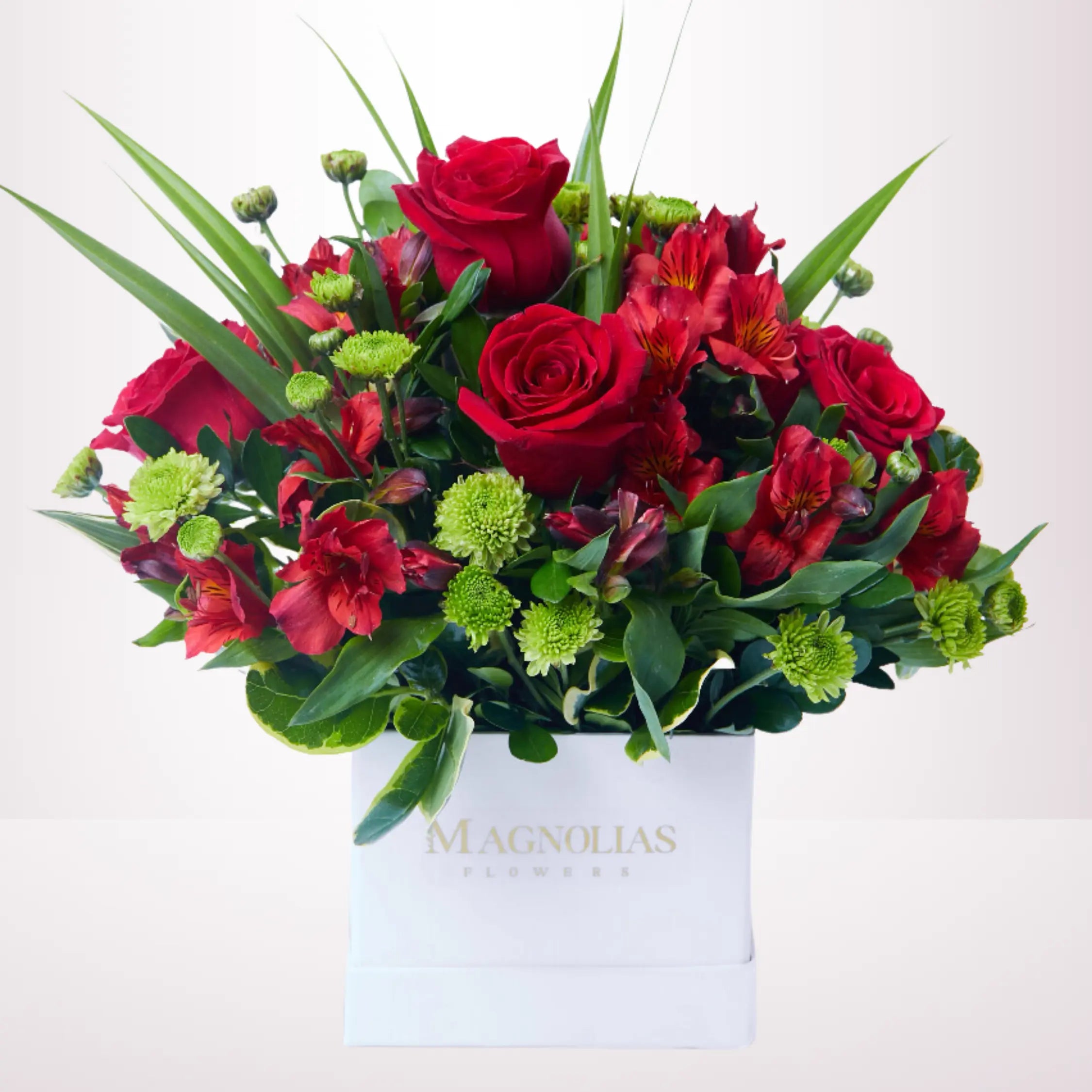 BOX CLASICO - CA004