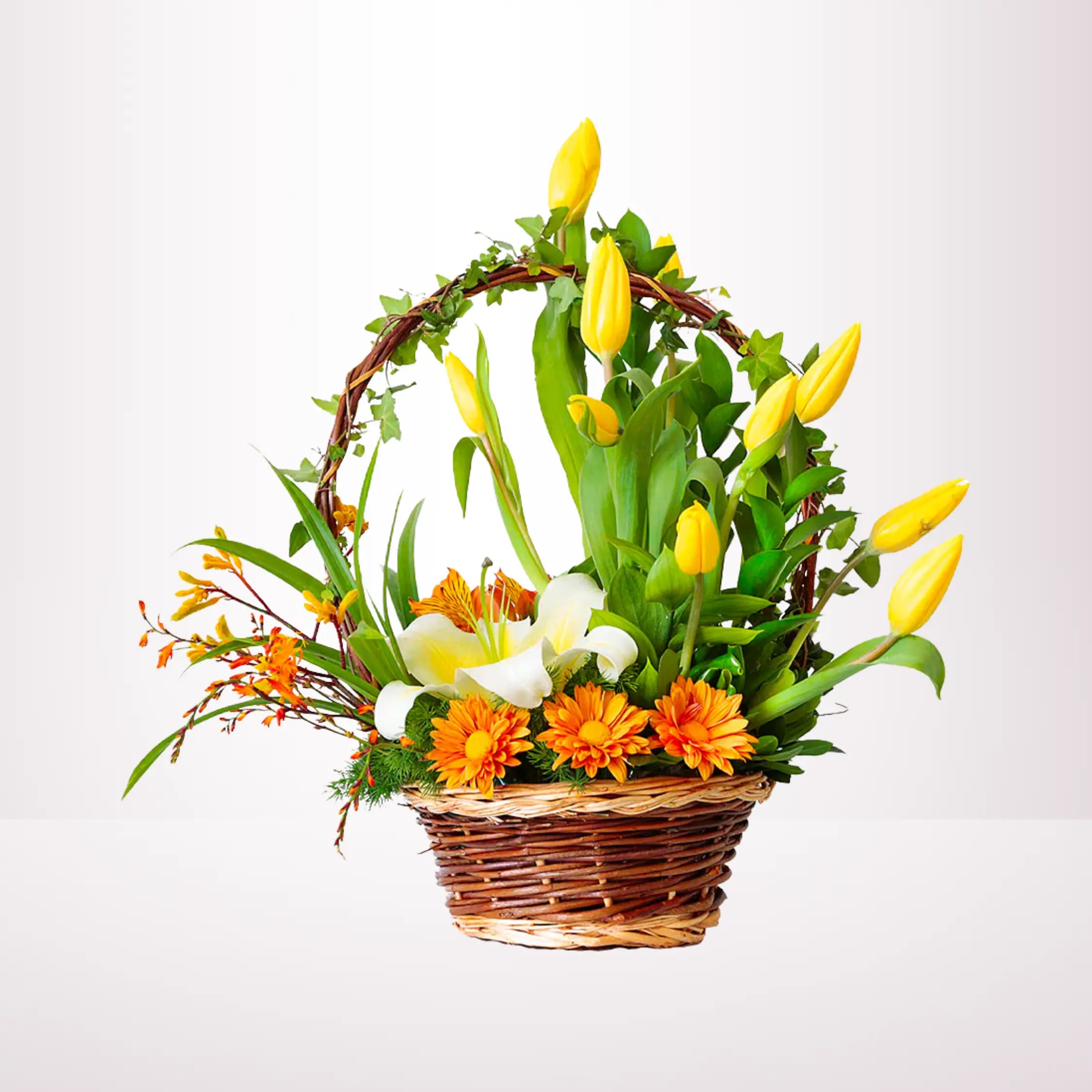 TULIPANES EN CANASTA - TL16