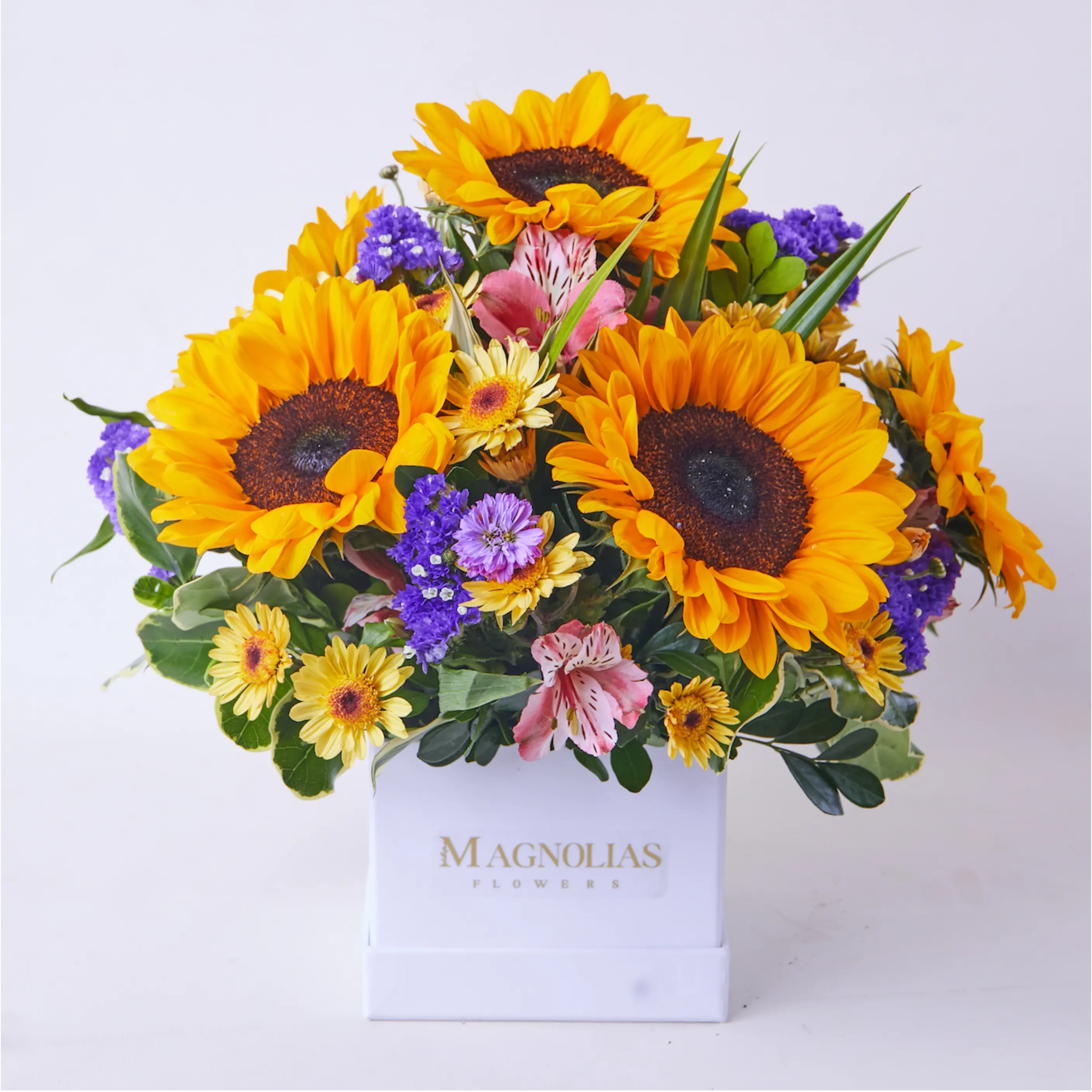 BOX 06 GIRASOLES - CA003