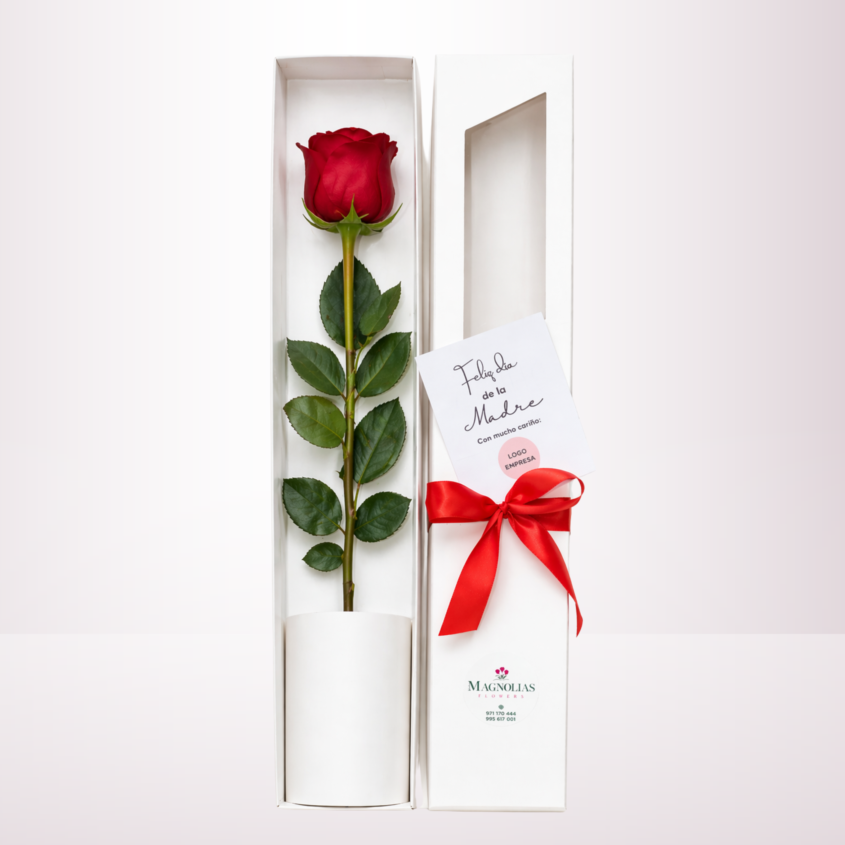 CAJA DE 01 ROSA - CJ01