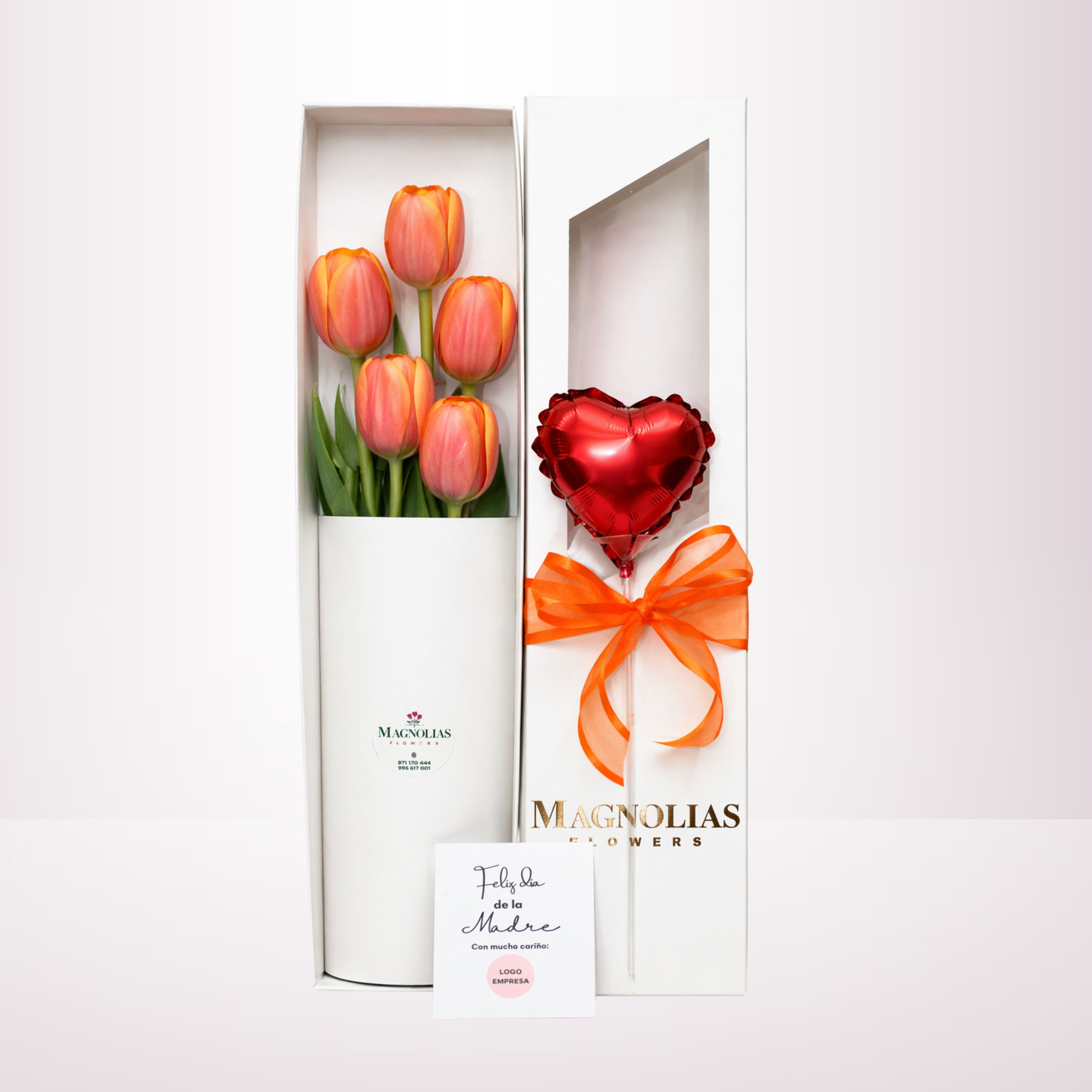 CAJA DE 05 TULIPANES - TL05