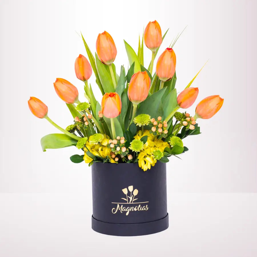 BOX TULIPANES - TL25